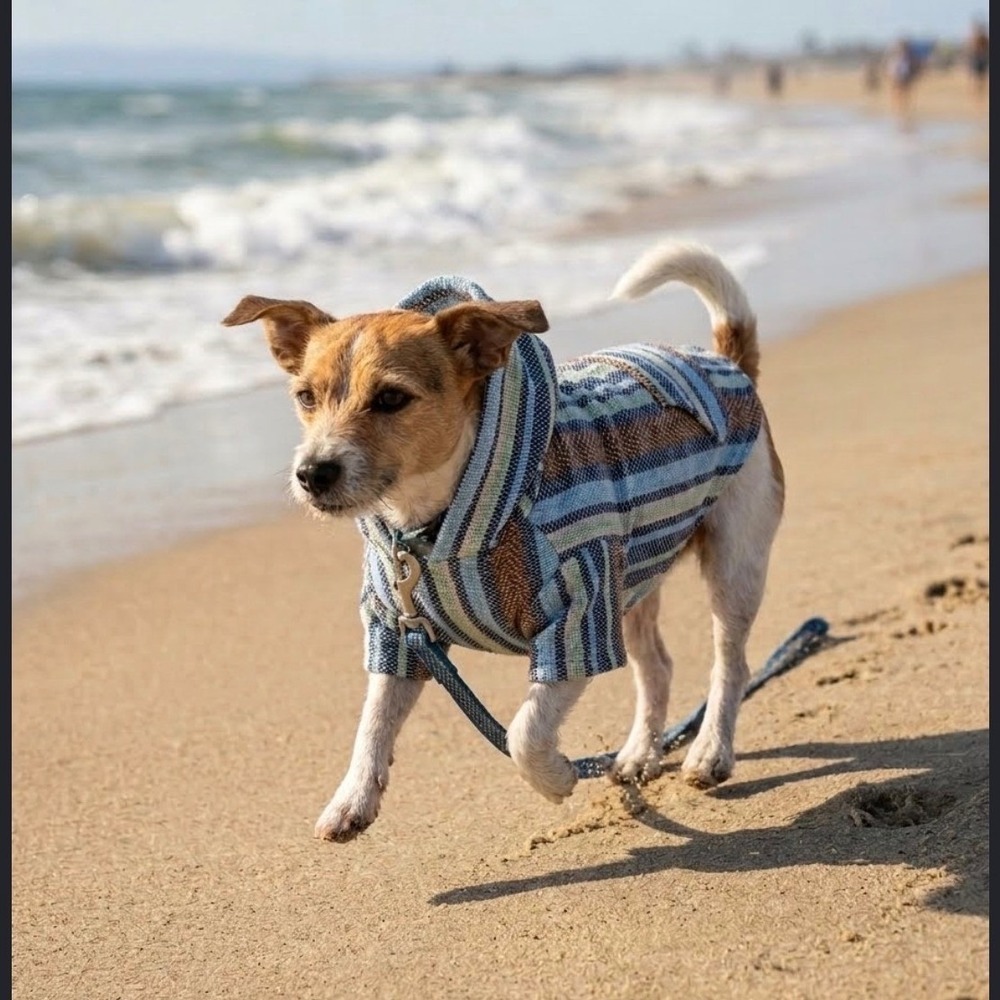 Youly Beach Bum Blue Baja Hoodie Pet Dog Sweater Small 13-15in Striped Poncho